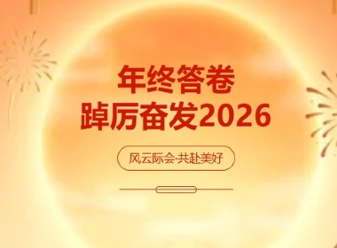 维实嘉业2025年度答卷:数说服务与发展!