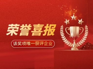 荣誉加冕|维实嘉业获评年度最佳服务商,引领企业网络服务新高度