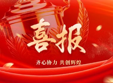 维实嘉业荣获锐捷"2025年度菁英合作伙伴”