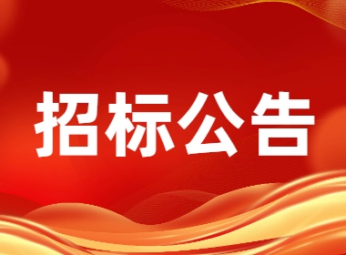 朝阳区消防救援支队网络专线接入服务采购招标公告