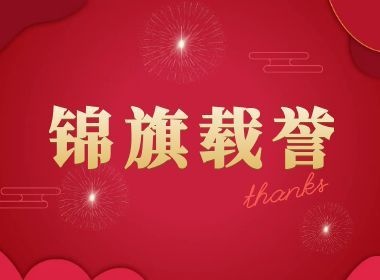 锦旗致谢显初心!维实嘉业智解园区组网难题,助企降本增效!